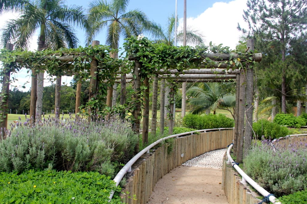 Jardim Sensorial: uma jornada através dos sentidos.