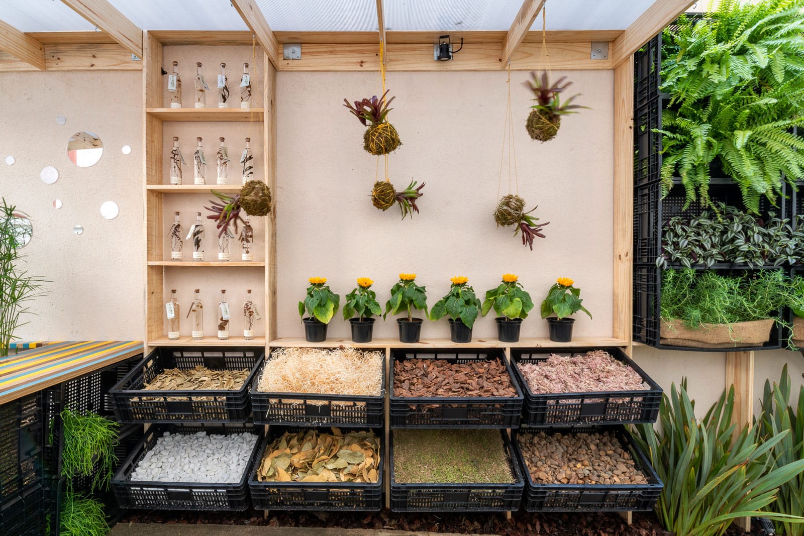 Monte seu Jardim Sensorial em casa.