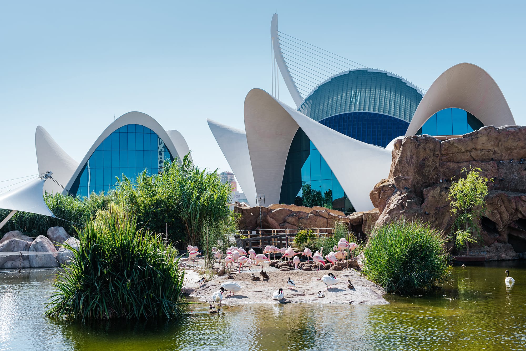 Oceanogràfic | Cidade das Artes e Ciências, em Valência, na Espanha.